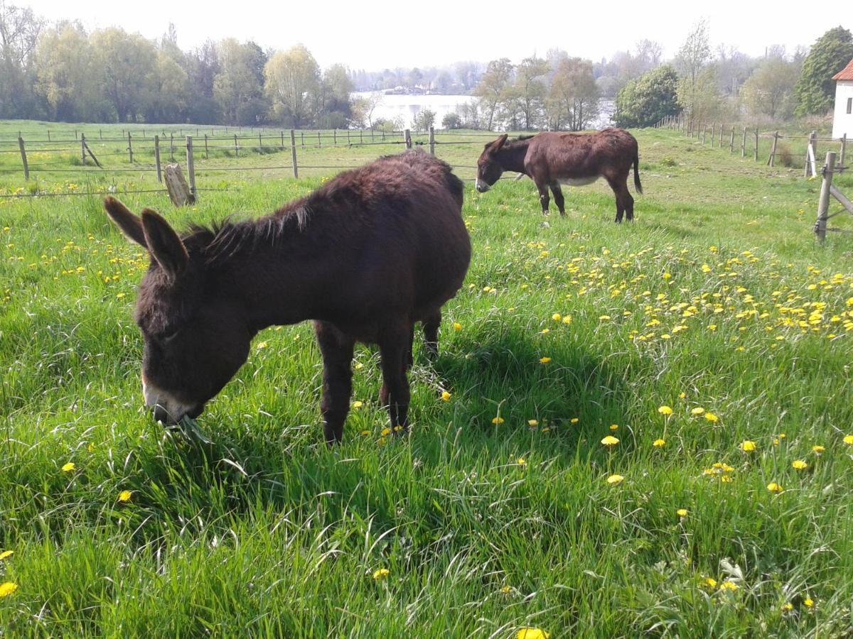 Chambres D'Hotes B&B Cote D'Opale La Fermette Du Lac Ardres ภายนอก รูปภาพ